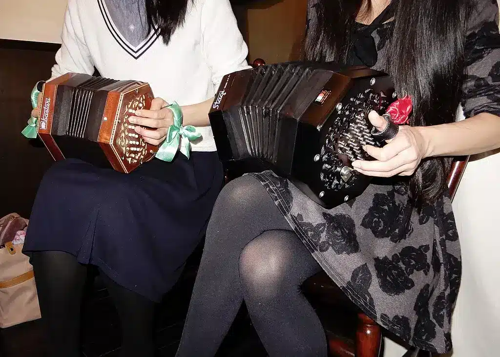 Concertina inglese (sinistra) e concertina tedesca (destra) suonate da Ryoko and Merumo