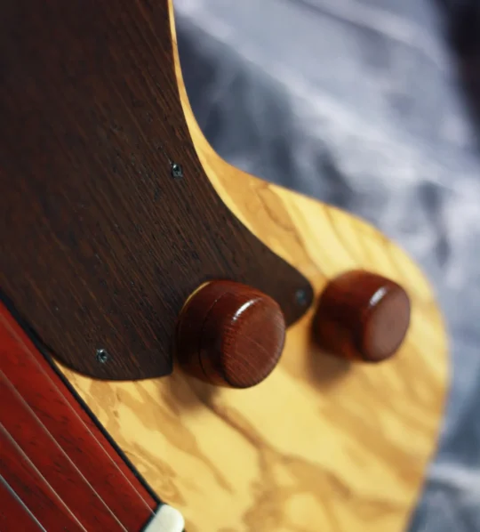 Collaborazioni ShiverGuitar