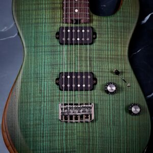 Chitarra T-Ely Telecaster ArteLab Guitars