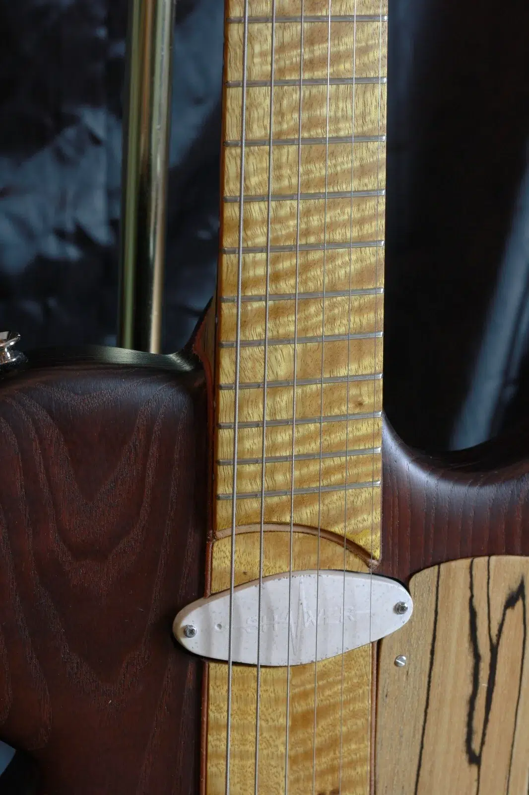 F Guitar Model ShiverGuitar Chitarra elettrica 2